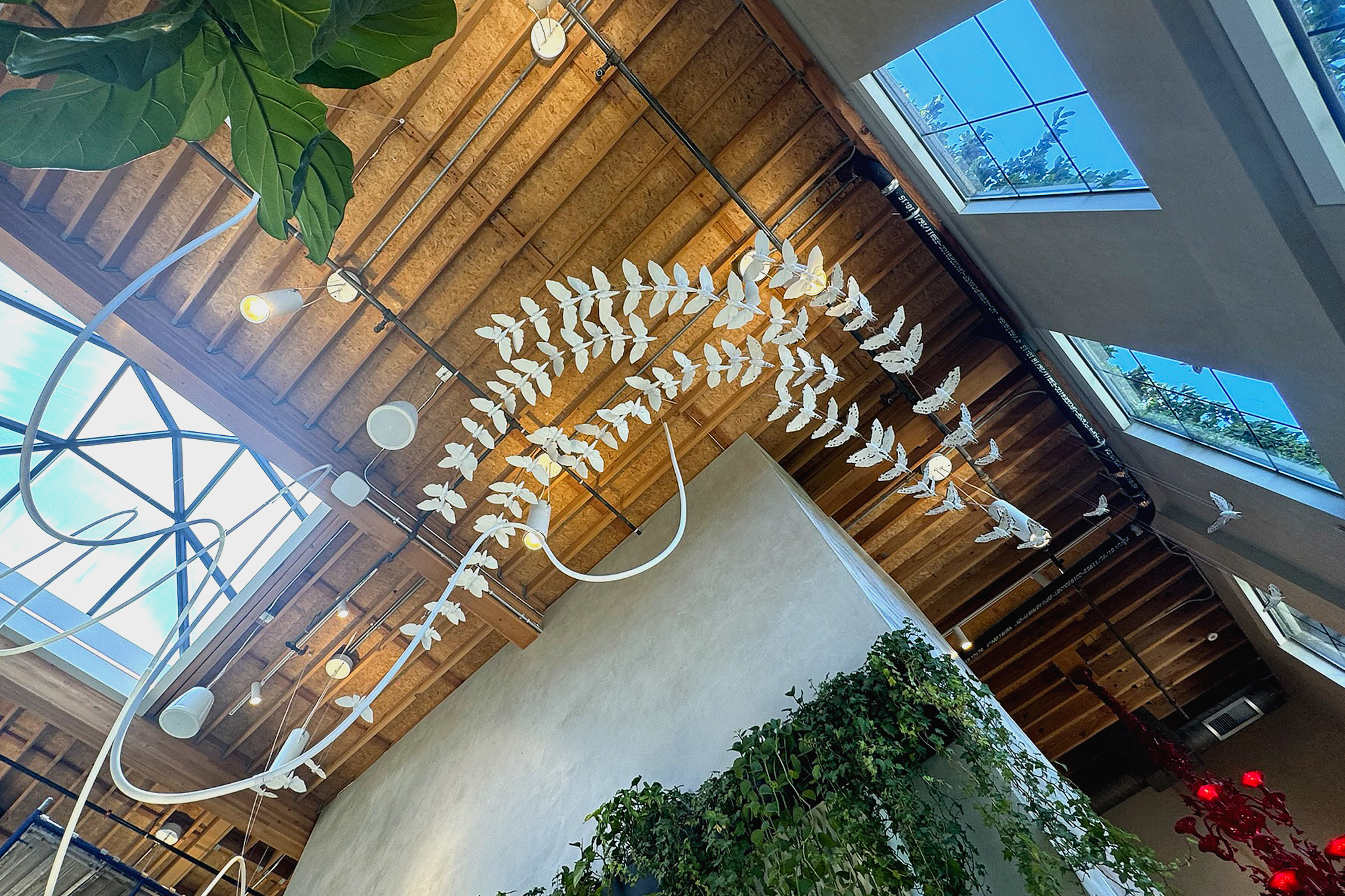 Moth Installation Floor View